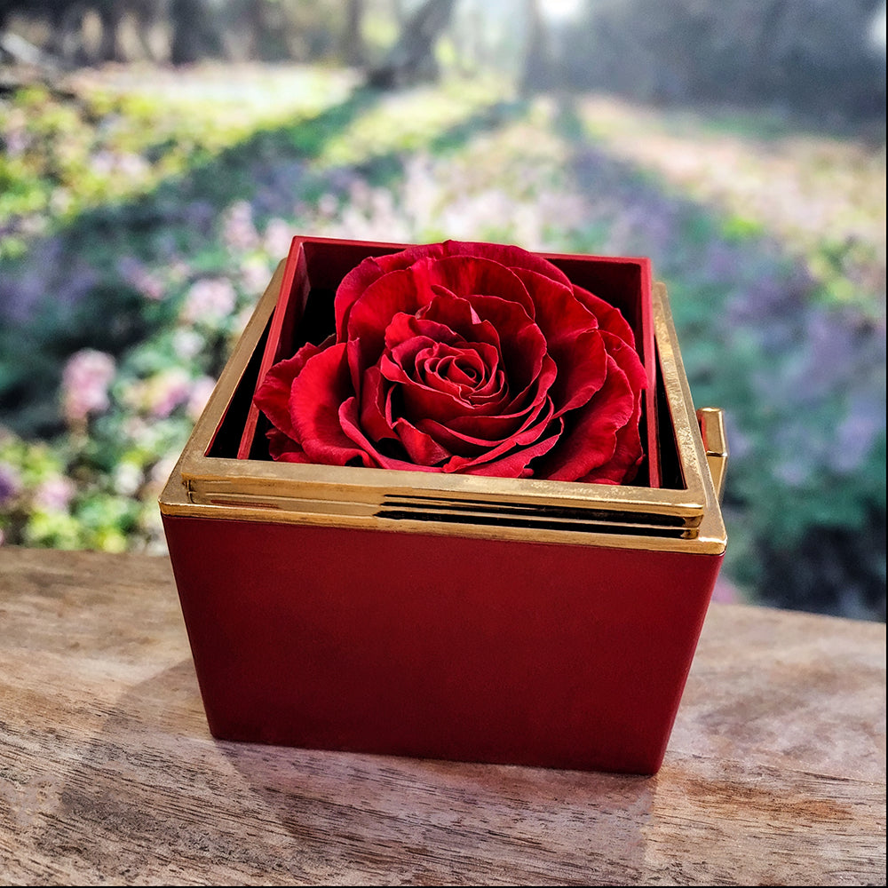 Rotating Rose Box - Love Knot Necklace