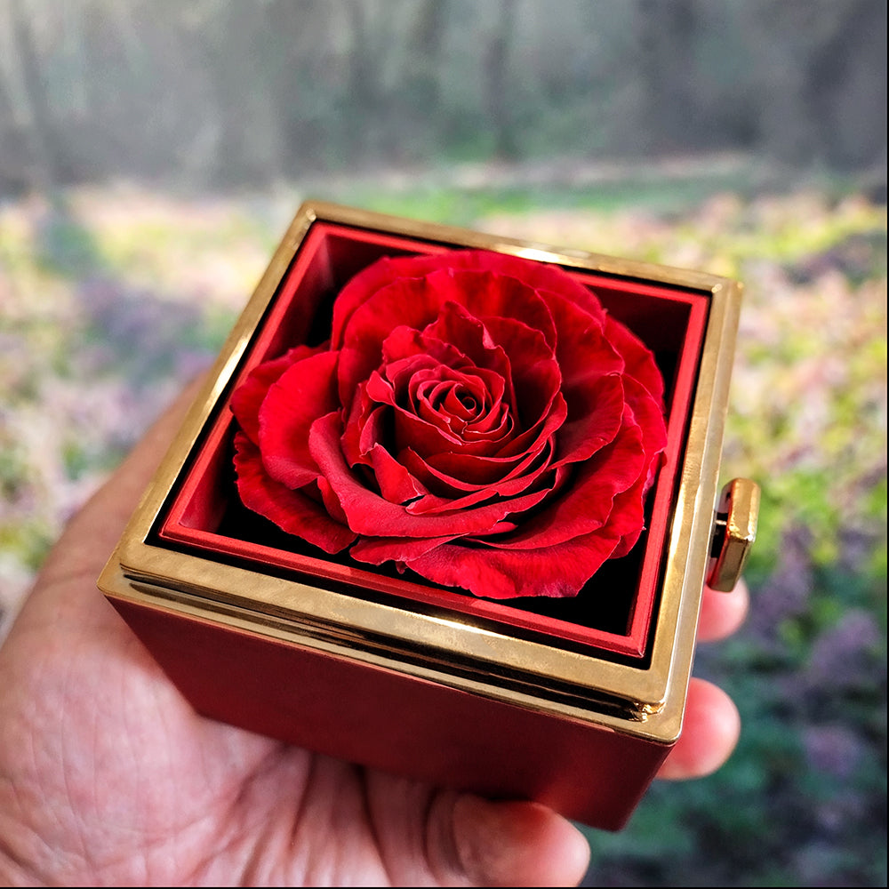 Rotating Rose Box - Love Knot Necklace